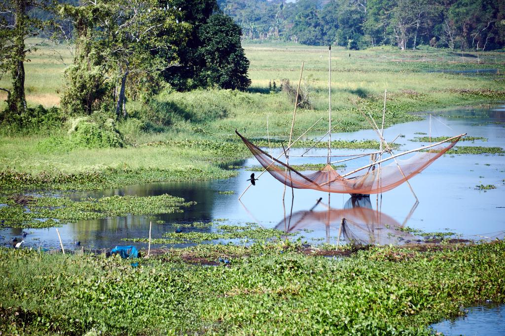 Filets de pêche [Majuli, Assam, Inde] - 2023 