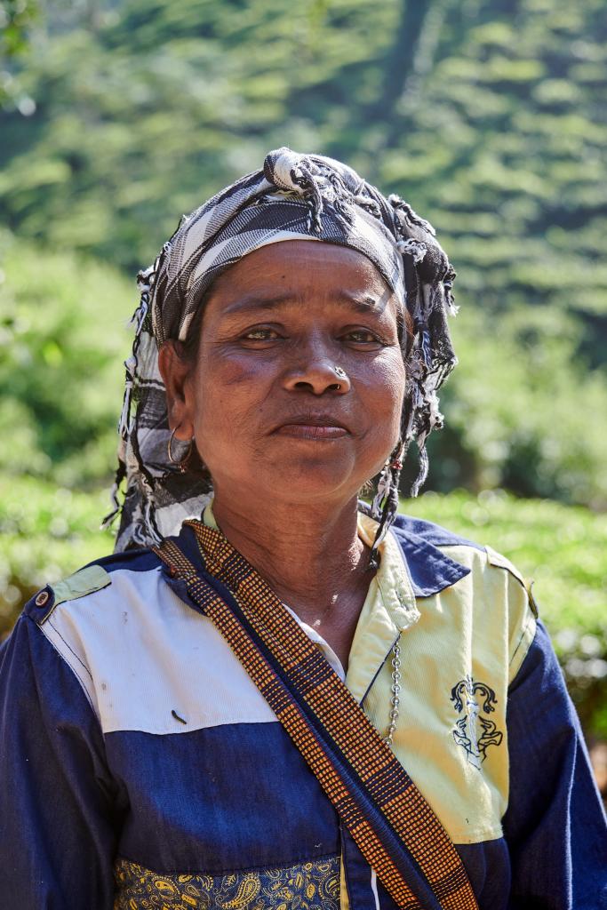 Ramassseuse de thé [Arunachal Pradesh, Inde] - 2023 