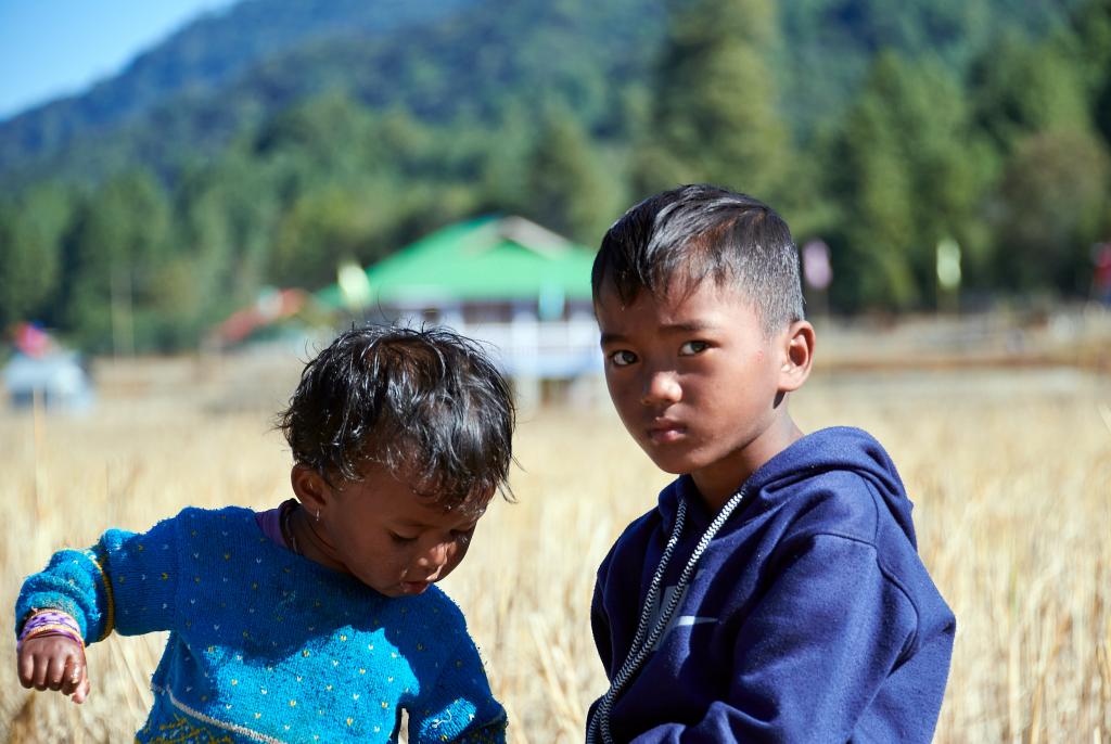 Rizières de Bulla [Arunachal Pradesh, Inde] - 2023 