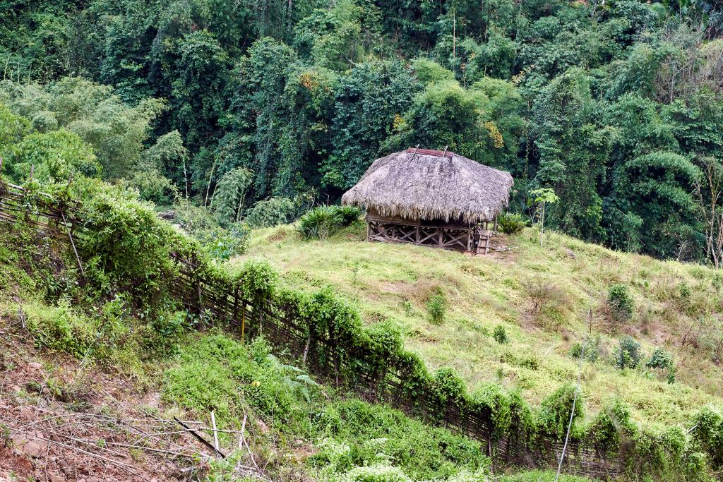 Entre Mopung et Molom [Arunachal Pradesh, Inde] - 2023 
