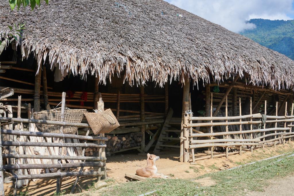 Village de Paya (Adi Padam) [Arunachal Pradesh, Inde] - 2023 