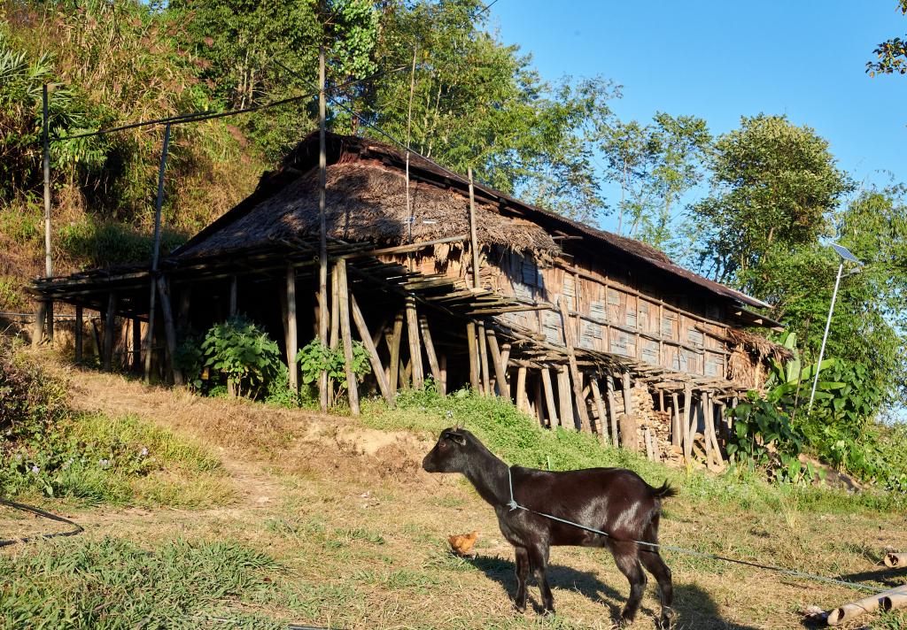 Village de Sanliam [Arunachal Pradesh, Inde] - 2023