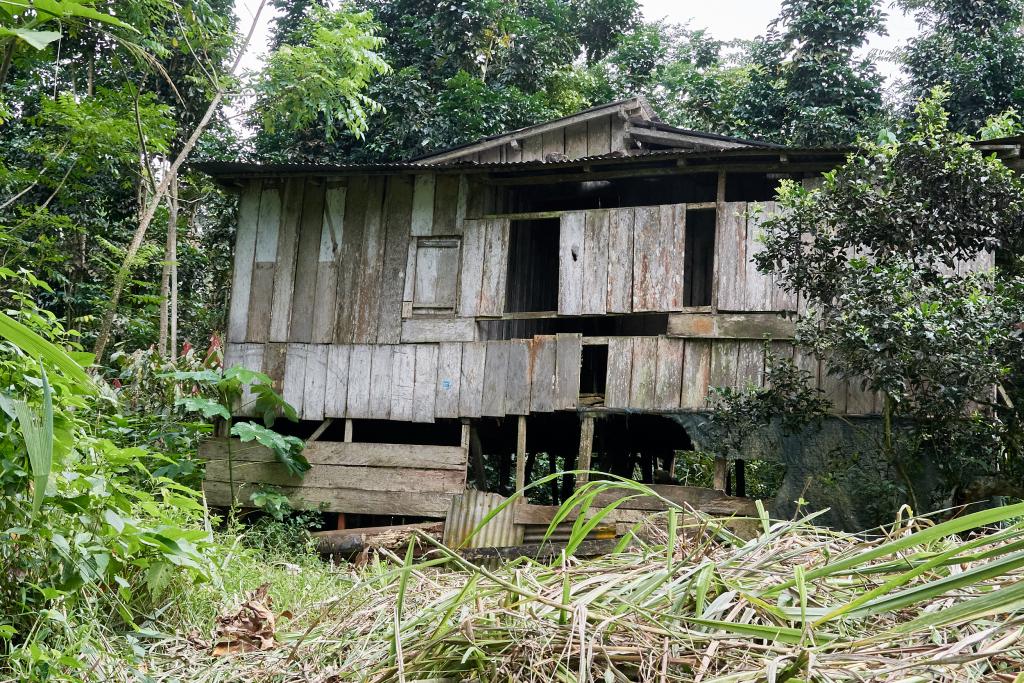 Exploitation abandonnée [Sao Tomé] - 2024