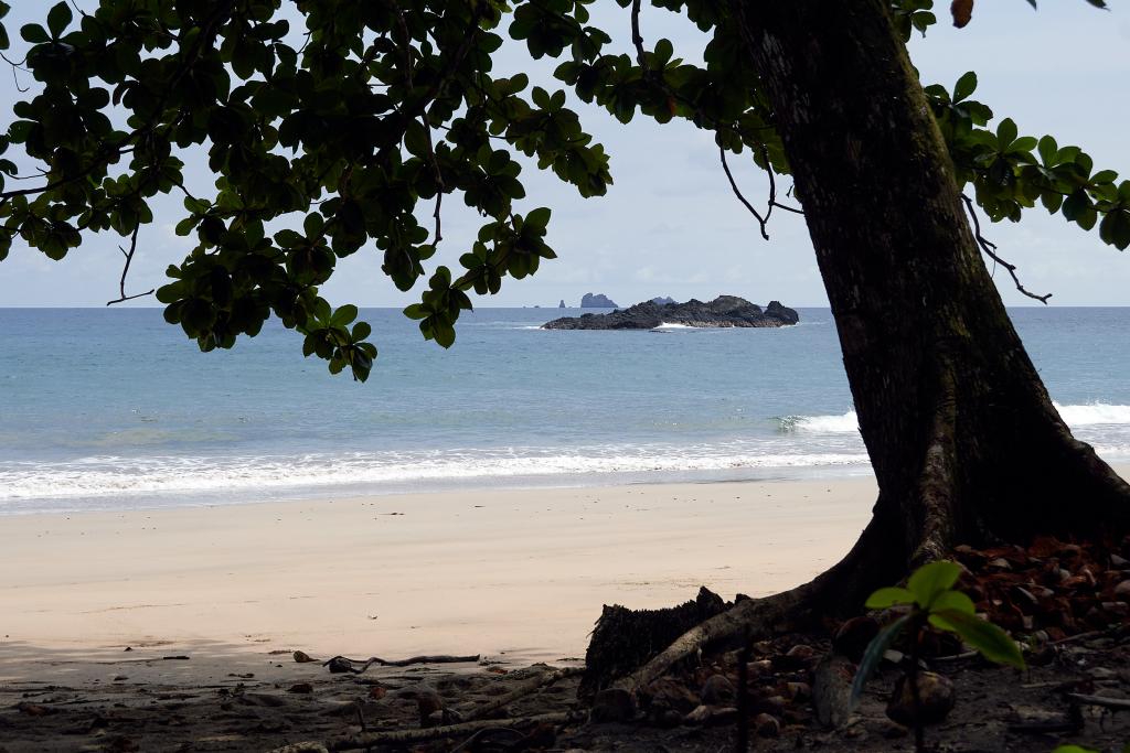 Praia Grande [Sao Tomé] - 2024