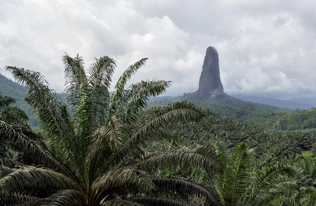 Pico Grande [Sao Tomé] - 2024