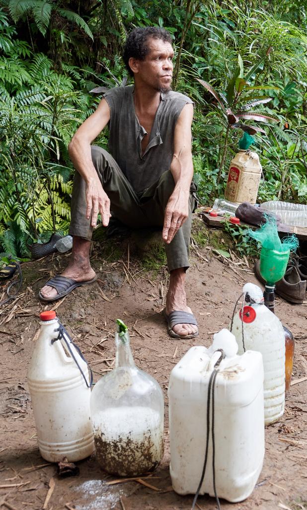 Préparation de l'alcool de palme, région de Sao Joao [Sao Tomé] - 2024