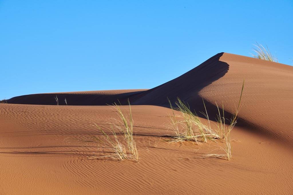 Homeb, désert du Namib [Namibie] - 2021