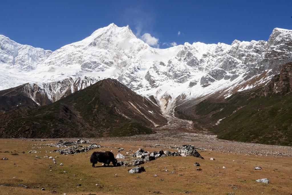 Vallée de Punggen [Népal] - 2022 