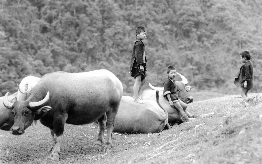 Hmongs noirs, Lao Cai [Vietnam] - 1995