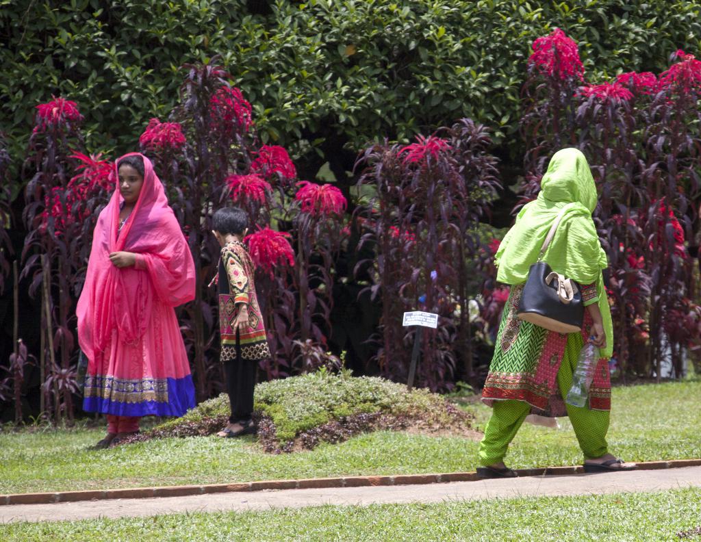 Kandy, jardin botanique [Sri Lanka] - 2016