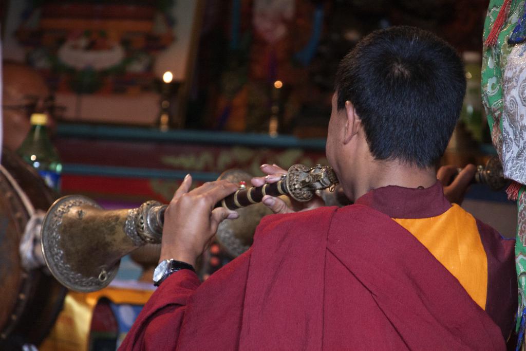 Puya, Pays de Kham, ancien Grand Tibet [Chine] - 2014