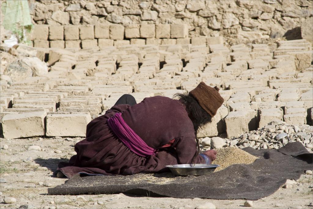 Le tri des grains, Zanskar [Inde] - 2010