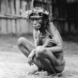 Un guerrier de l'ethnie Jale, Kosarek, Irian Jaya, les Hautes Terres [Indonésie] - 2001