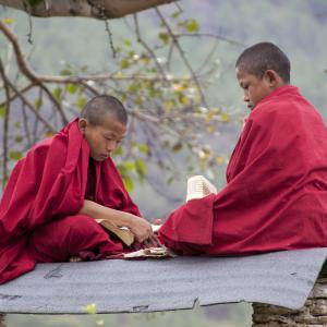 Chhimi Lhakang, le monastère du Fou divin, vallée de Punakha [Bhoutan] - 2017