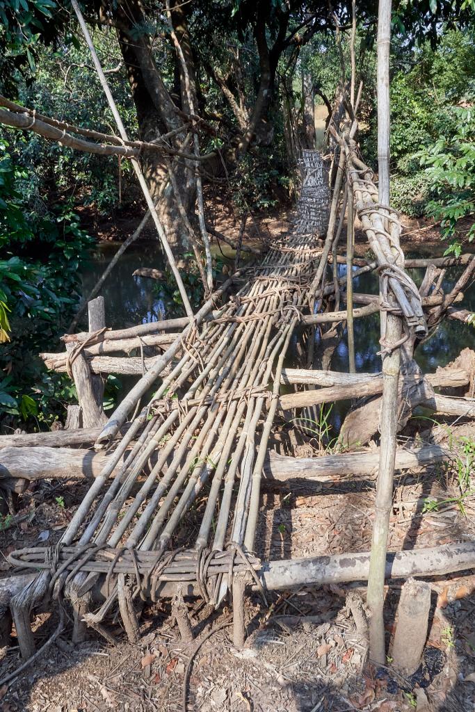 Pont suspendu sur le chemin de Leyfita [Guinée] - 2024 