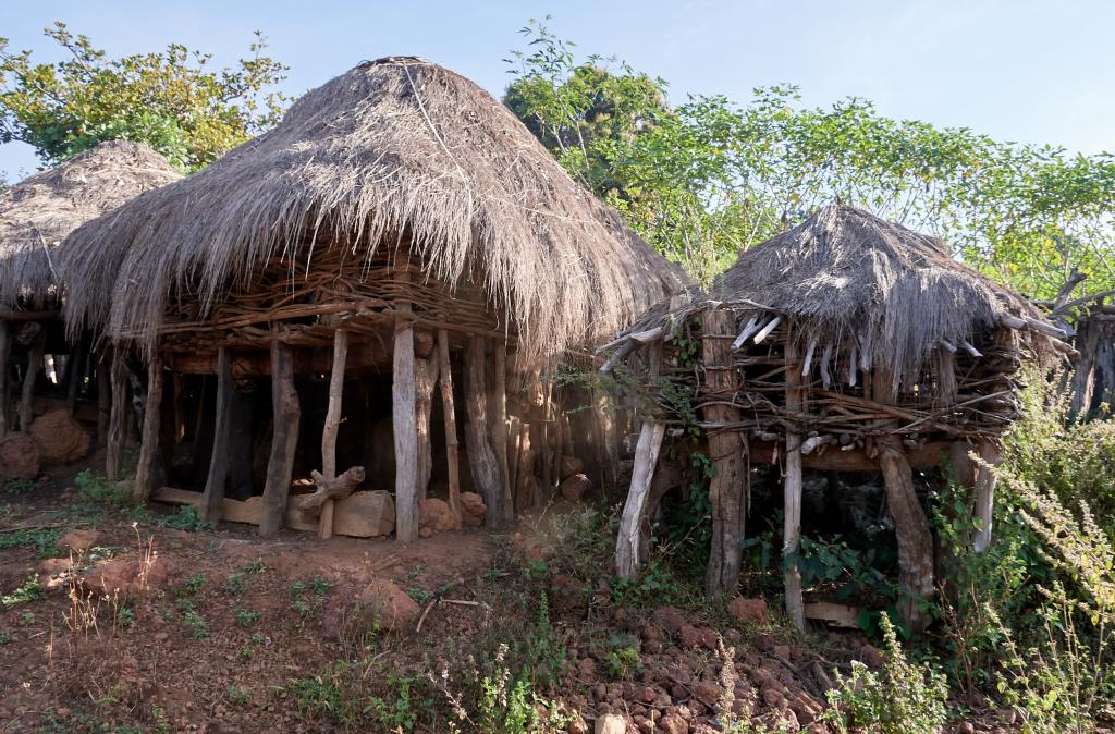 Aux alentours du village de Leyfita [Guinée] - 2024 