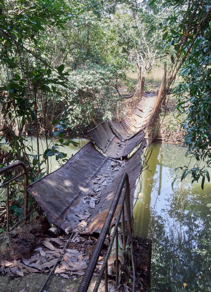 Sur la route de Sangui [Guinée] - 2024 