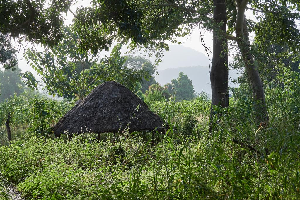 Village de Leyfita [Guinée] - 2024 