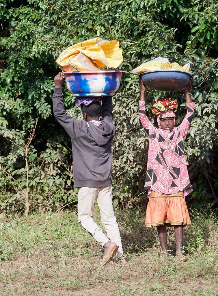 Aux alentours du village de Leyfita [Guinée] - 2024 