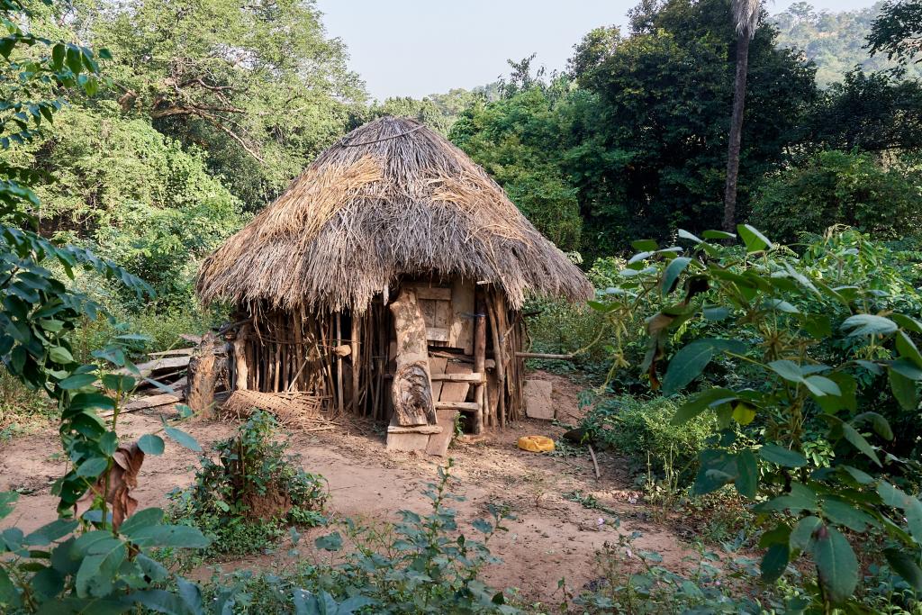 Sur la route de Sangui [Guinée] - 2024 