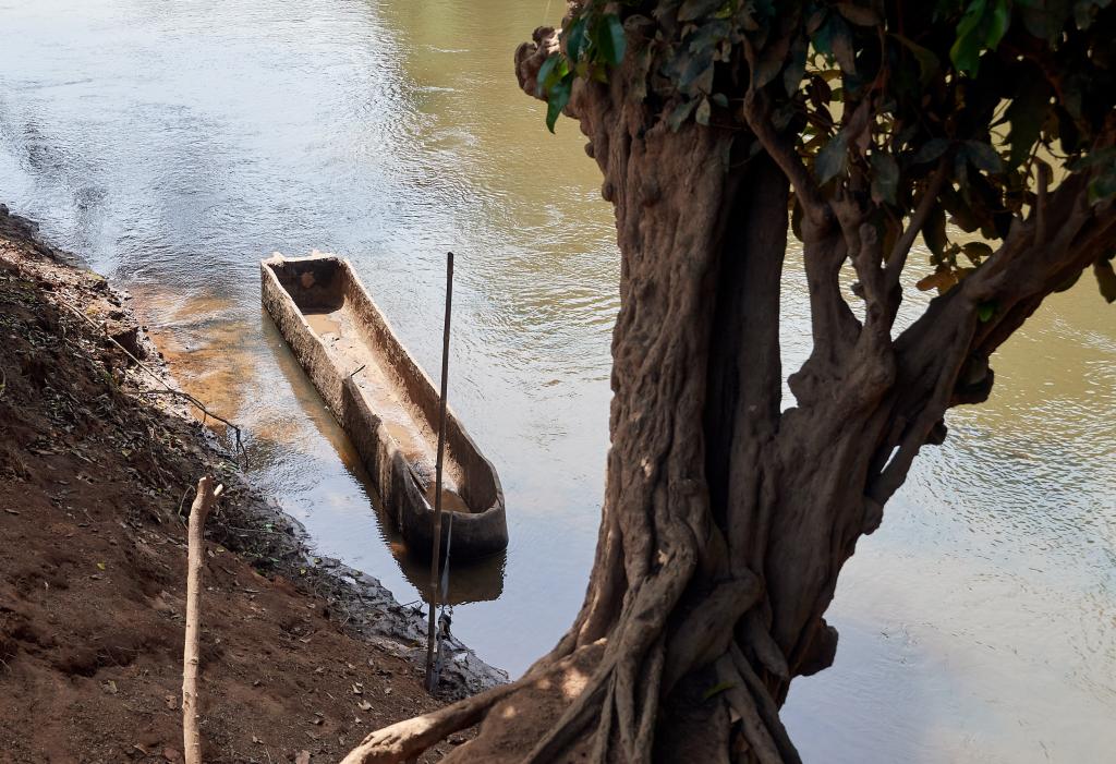 Près de Loubeya [Guinée] - 2024 