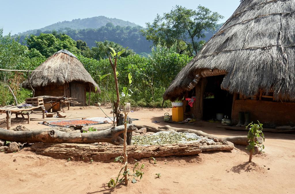 Village de Loubeya [Guinée] - 2024 