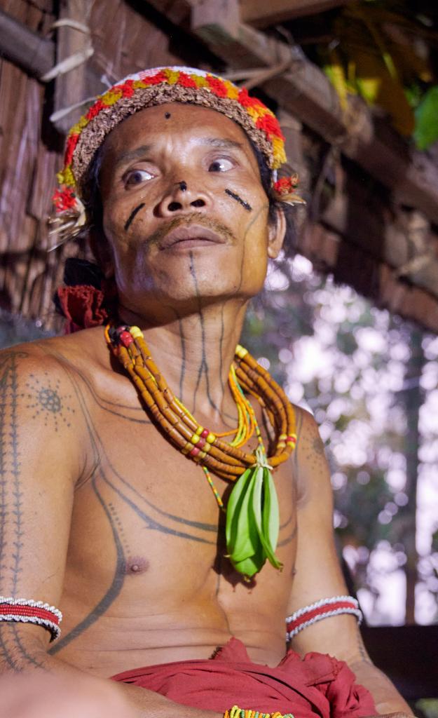 Chaman Mentawaï, île de Siberut [Indonésie] - 2025 