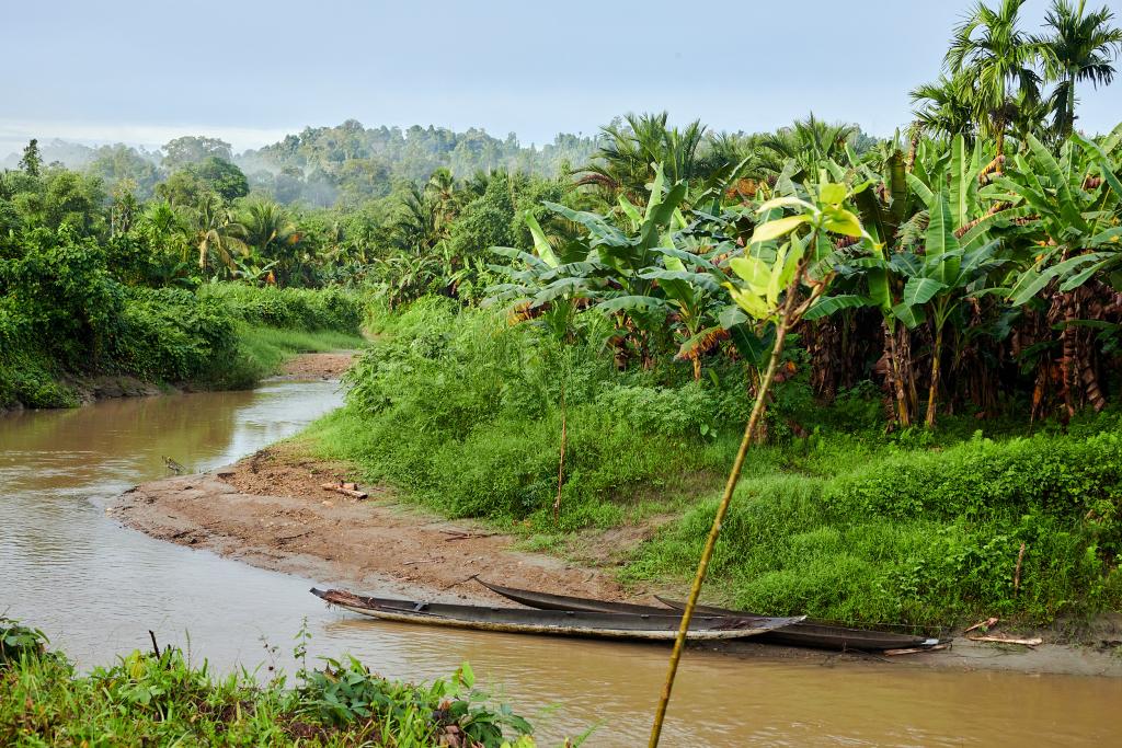 Seul accès : la rivière Reireket, île de Siberut [Indonésie] - 2025