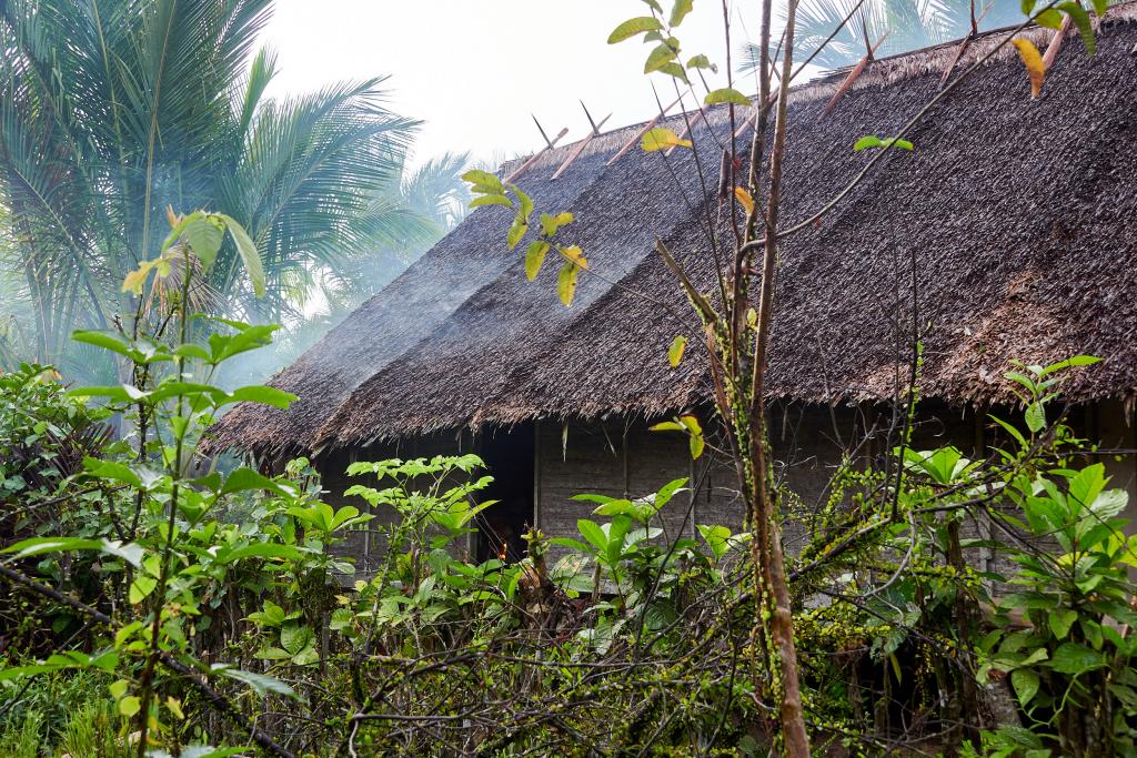 La Uma au petit matin, île de Siberut [Indonésie] - 2025