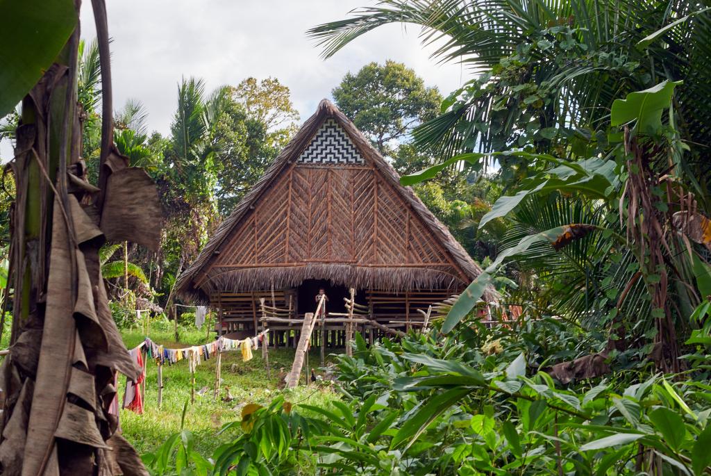 Une Uma voisine, île de Siberut [Indonésie] - 2025