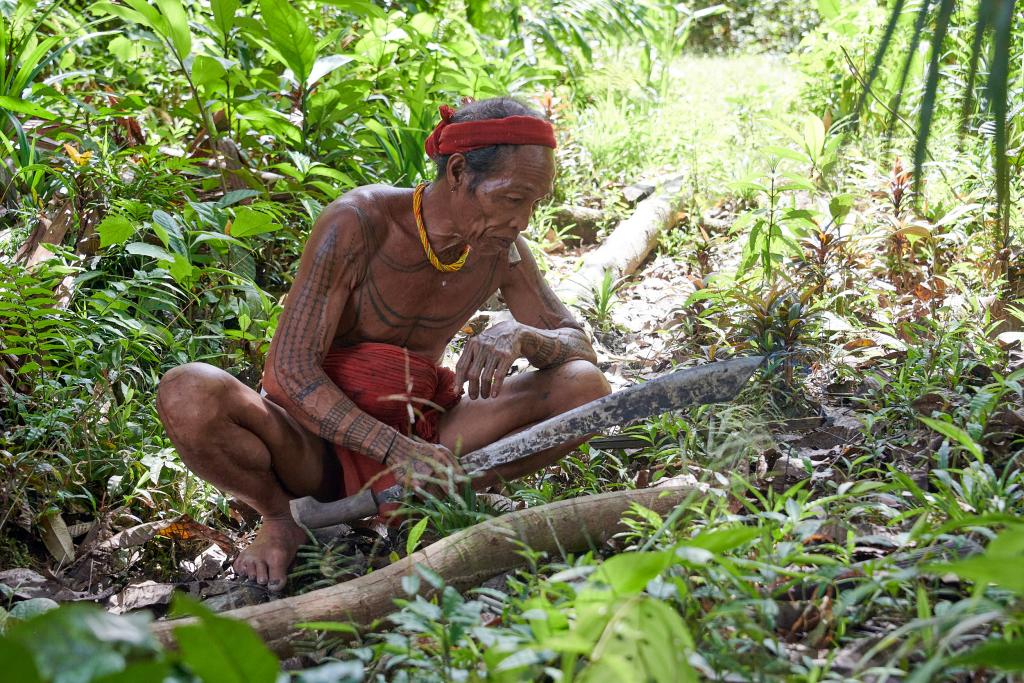 Découpe d'une lanière d'écorce, île de Siberut [Indonésie] - 2025 