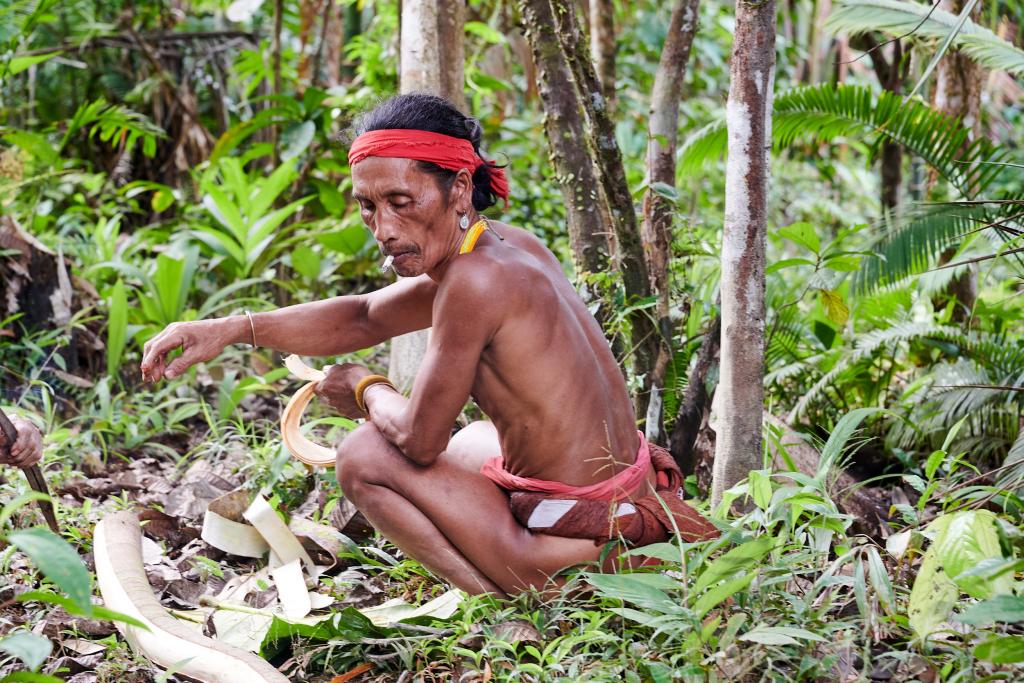 Découpe d'une lanière d'écorce, île de Siberut [Indonésie] - 2025 