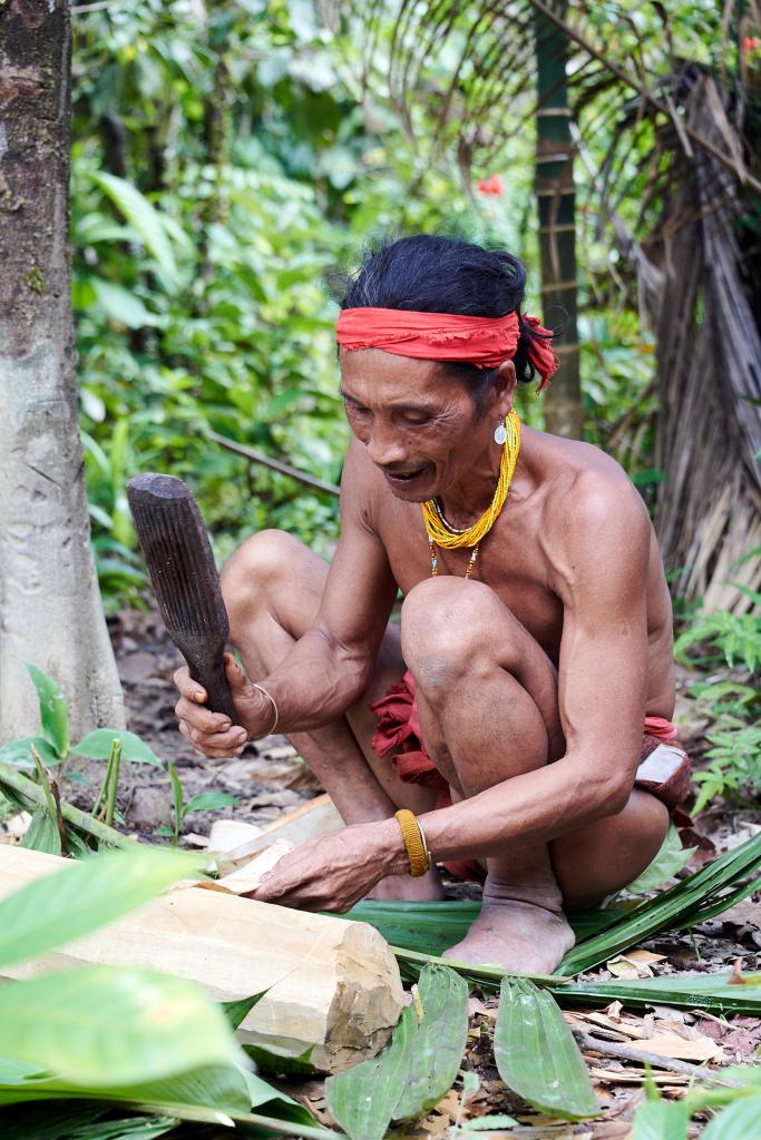 Préparation d'un pagne à partir de l'écorce d'un arbre, île de Siberut [Indonésie] - 2025