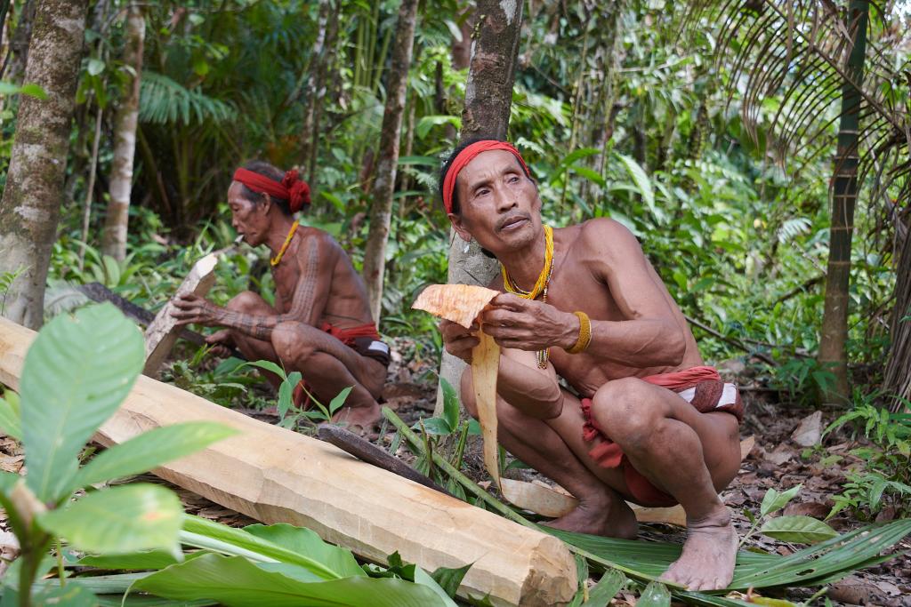 Travail en commun dans la jungle, île de Siberut [Indonésie] - 2025
