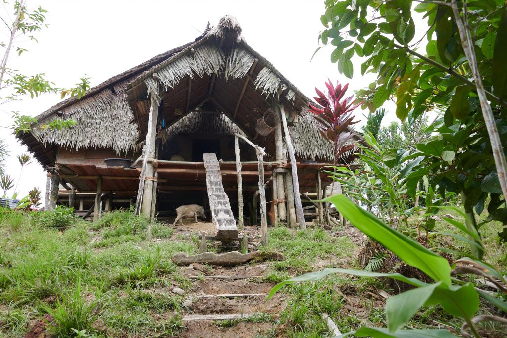 La Uma de Tewagoy, chaman Mentawaï, île de Siberut [Indonésie] - 2025
