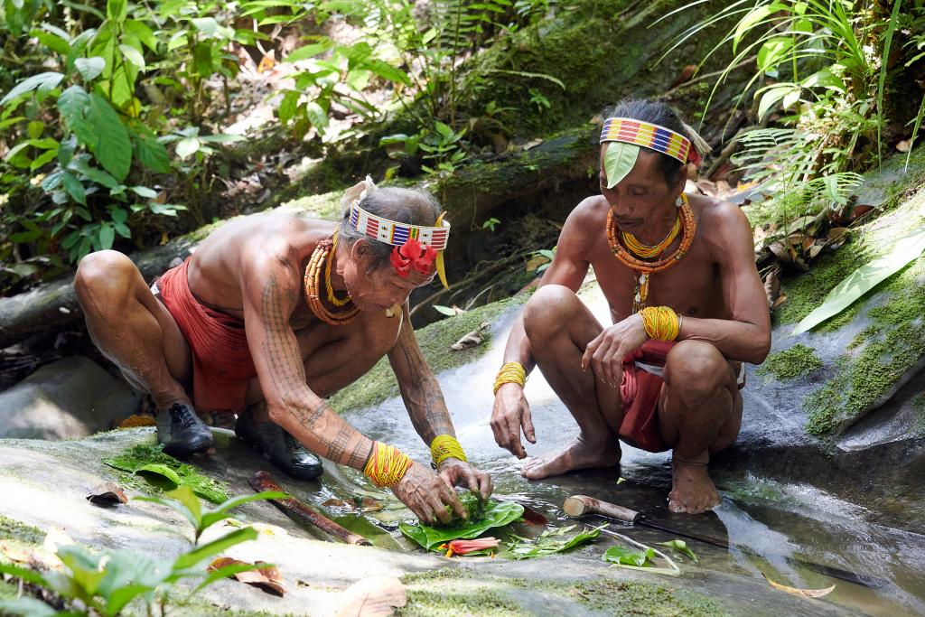 Préparation d'un remède médicinal, île de Siberut [Indonésie] - 2025