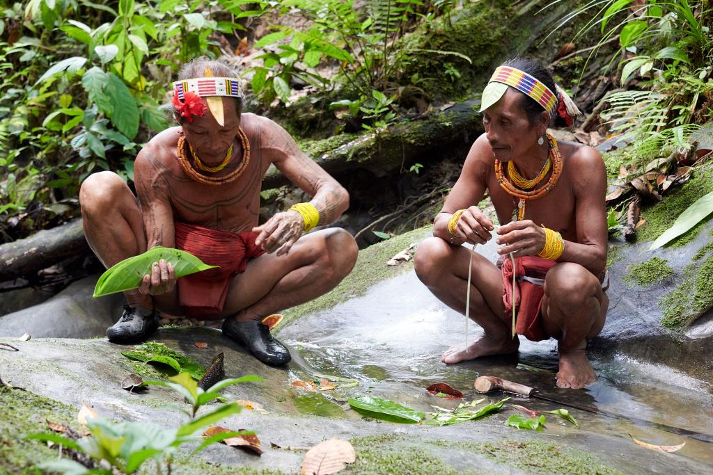 Préparation d'un remède médicinal, île de Siberut [Indonésie] - 2025