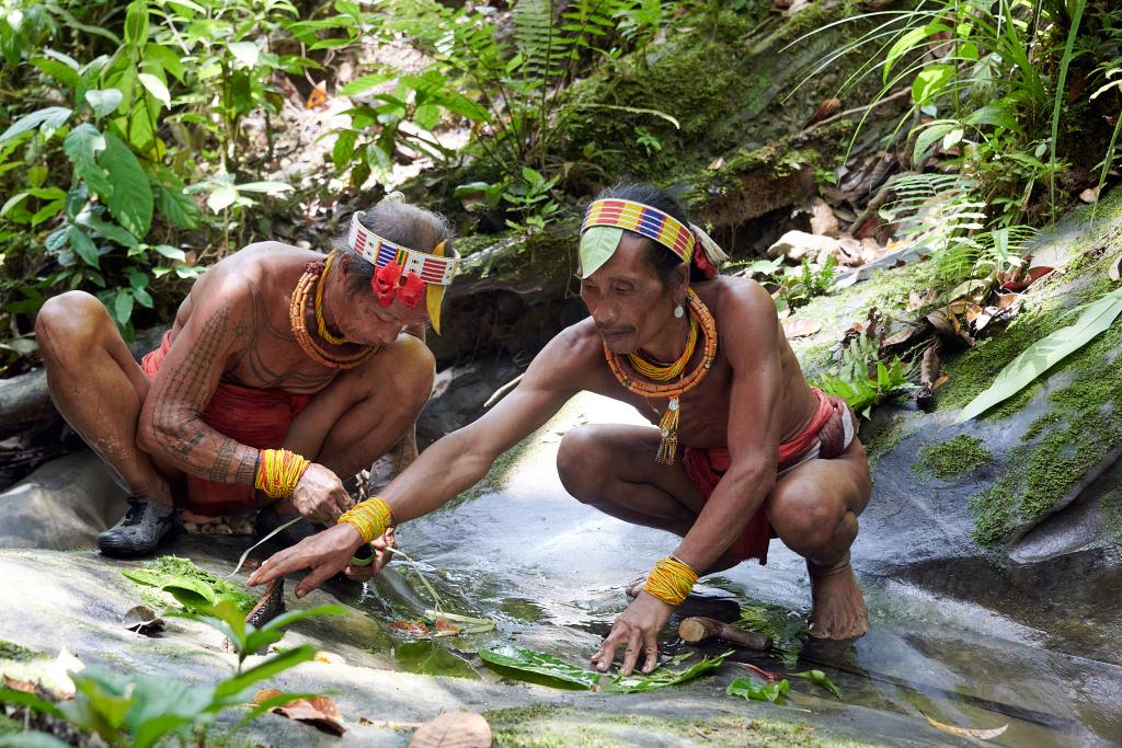 Préparation d'un remède médicinal, île de Siberut [Indonésie] - 2025