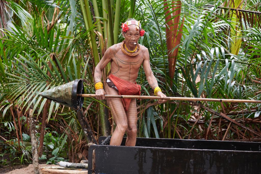 Préparation du sagou, base de l'alimentation chez les Mentawaï, île de Siberut [Indonésie] - 2025