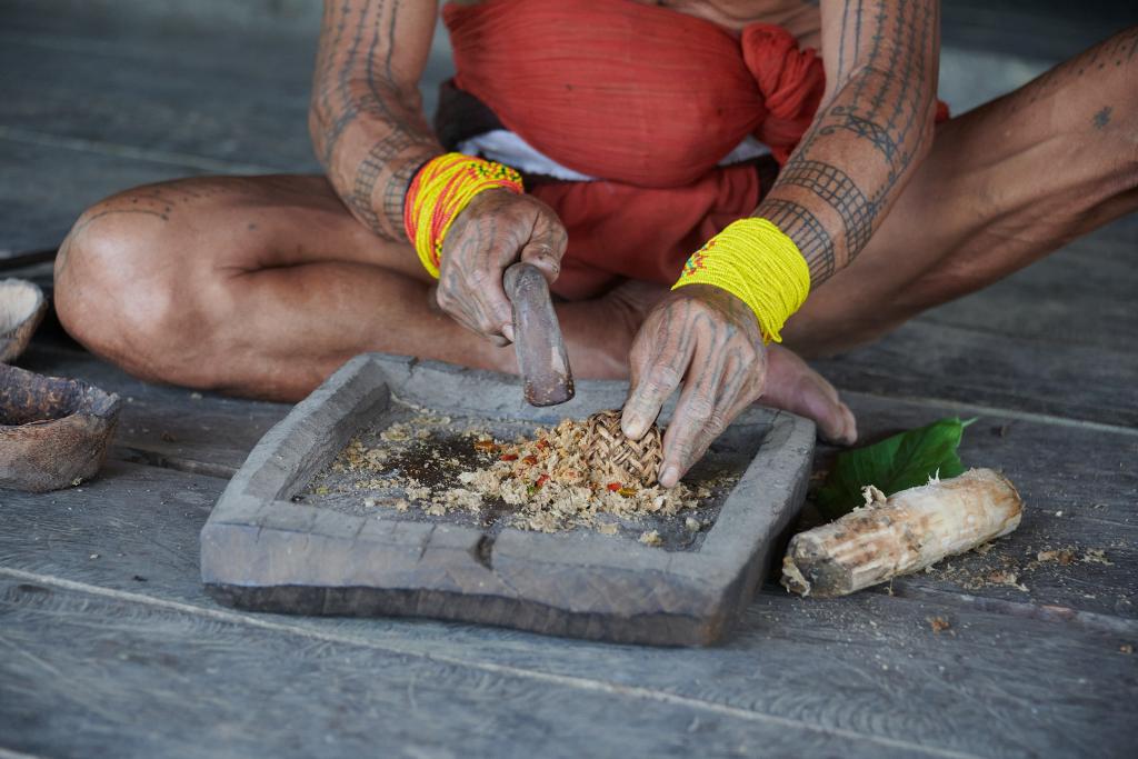 Confection de poison pour la chasse, île de Siberut [Indonésie] - 2025