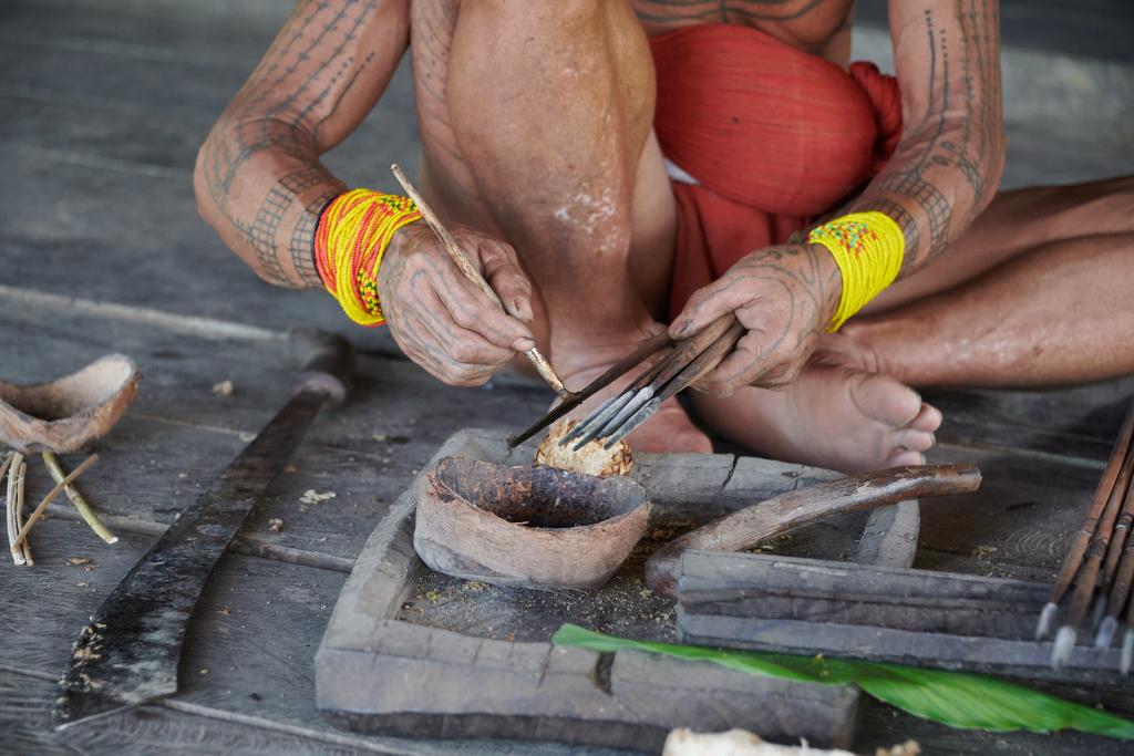 Application du poison sur les flèches, île de Siberut [Indonésie] - 2025