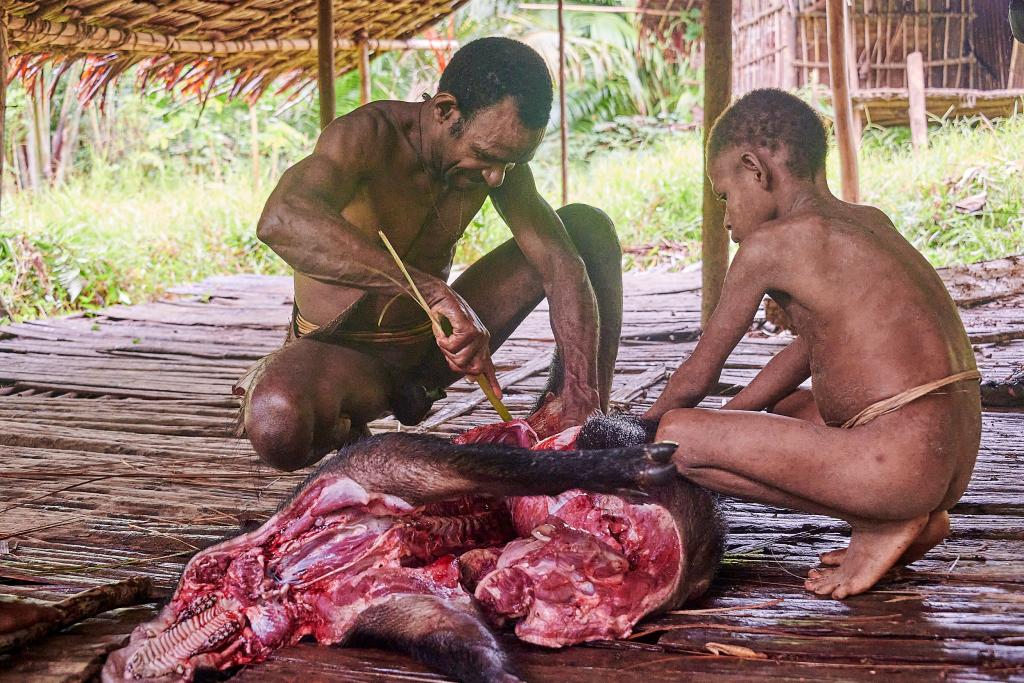 Retour de chasse, pays Korowaï [Papouasie indonésienne] - 2025