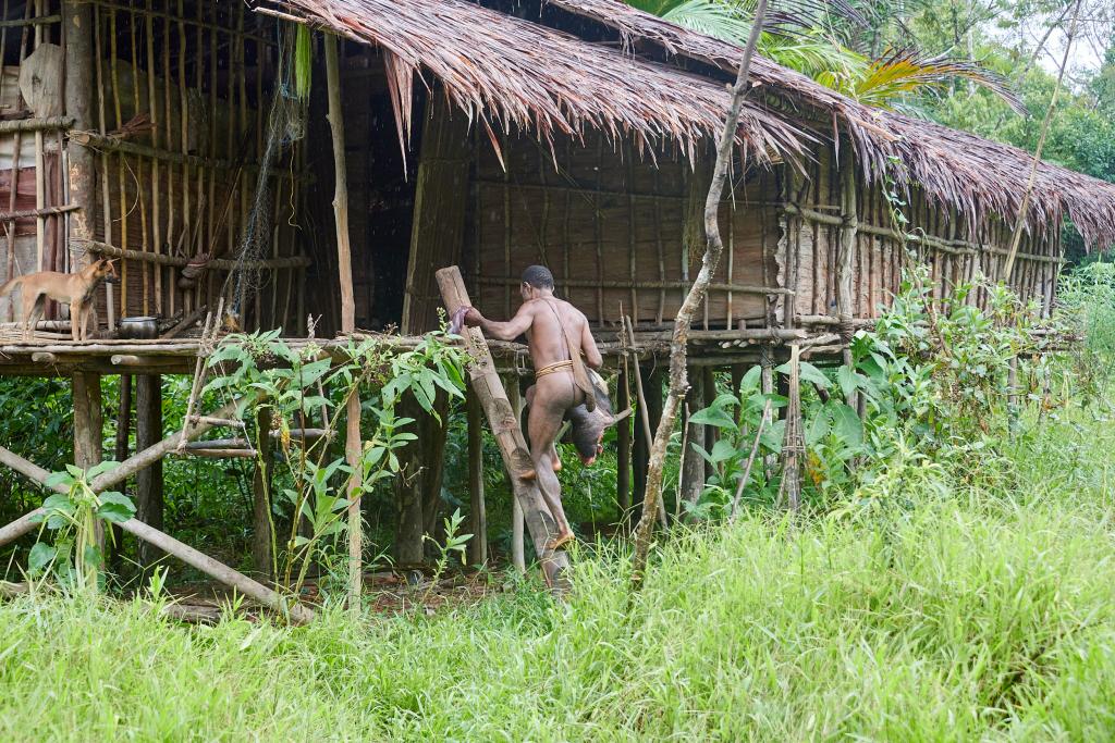 Retour de chasse, pays Korowaï [Papouasie indonésienne] - 2025 