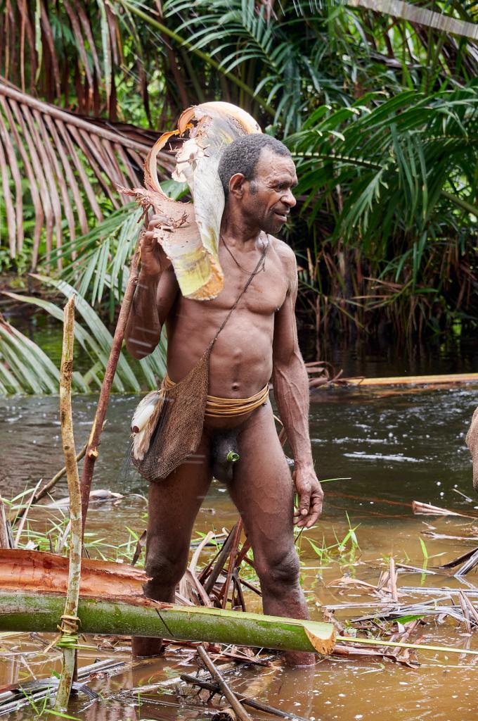 Mise place pour la préparation du sagou, pays Korowaï [Papouasie indonésienne] - 2025