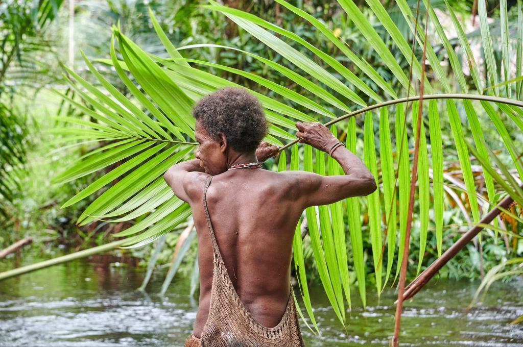 Préparation du sagou, pays Korowaï [Papouasie indonésienne] - 2025 