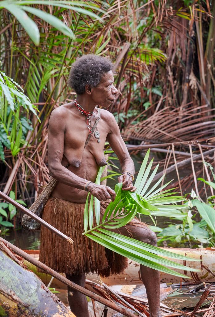 Préparation du sagou, pays Korowaï [Papouasie indonésienne] - 2025 