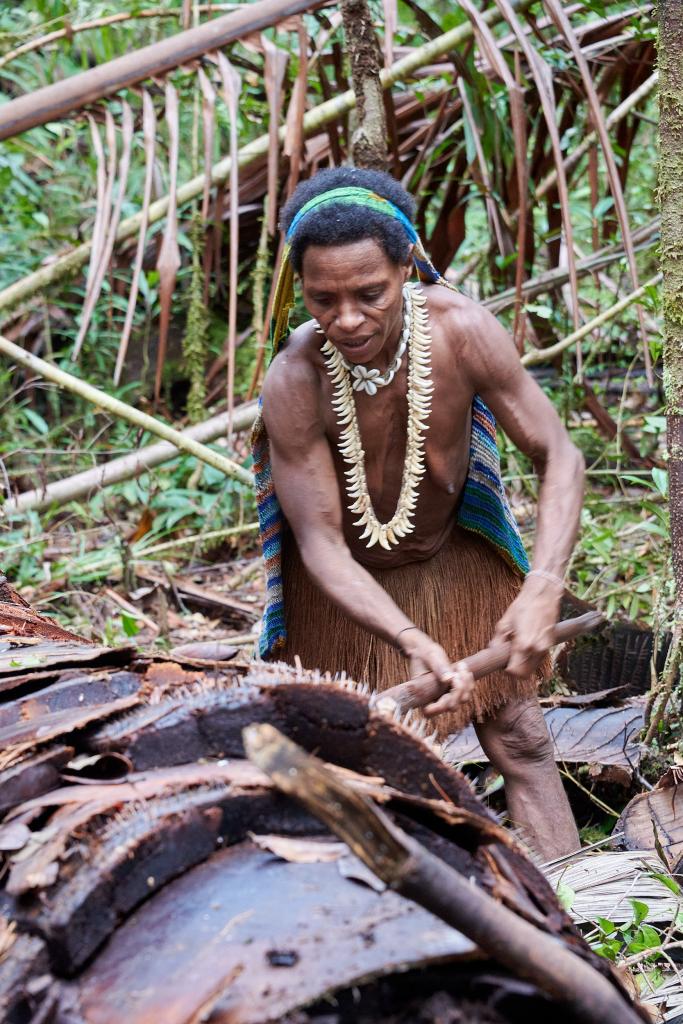 Recherche des vers de sagoutier pays Korowaï [Papouasie indonésienne] - 2025 
