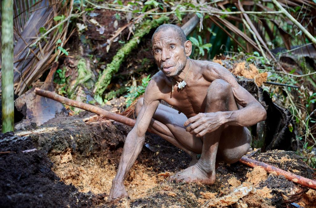 Recherche des vers de sagoutier pays Korowaï [Papouasie indonésienne] - 2025 