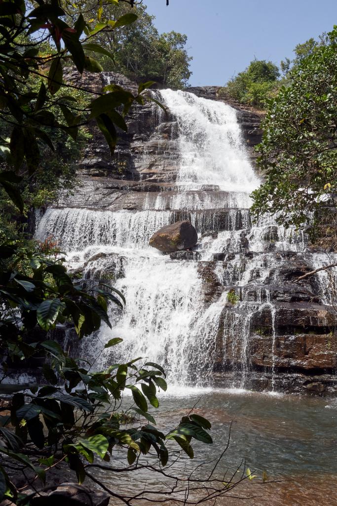 Dans la région de Tombo [Guinée] - 2024 