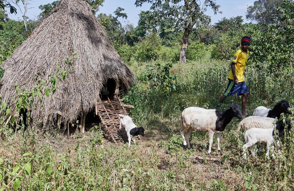 Village entre Tombo et Dougoura [Guinée] - 2024 